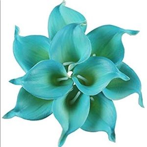 Meet your Posher, Hilda